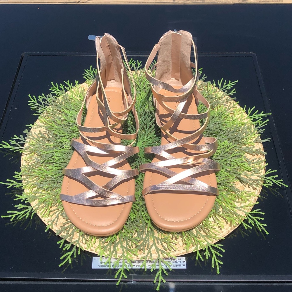 Rose Gold Gladiators